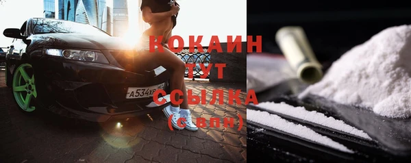 тгк Абаза